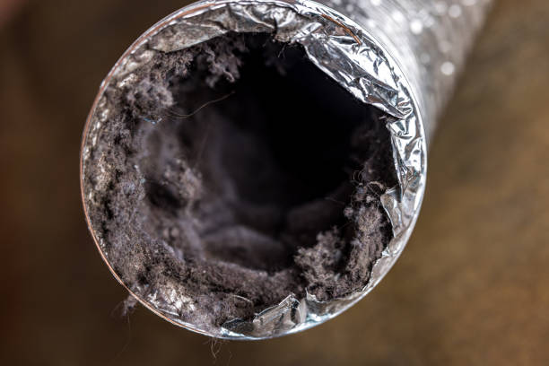 Best Air Duct Cleaning Near Me in Kutztown University, PA